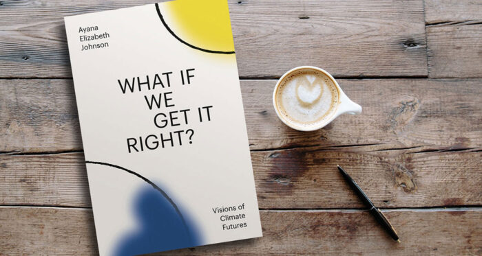 What If We Get It Right Book Group