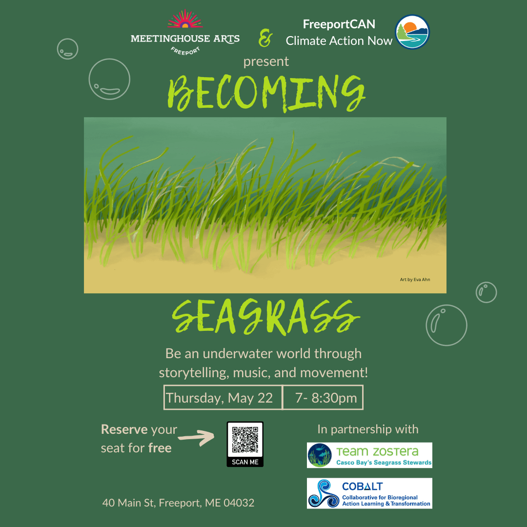 Becoming Seagrass