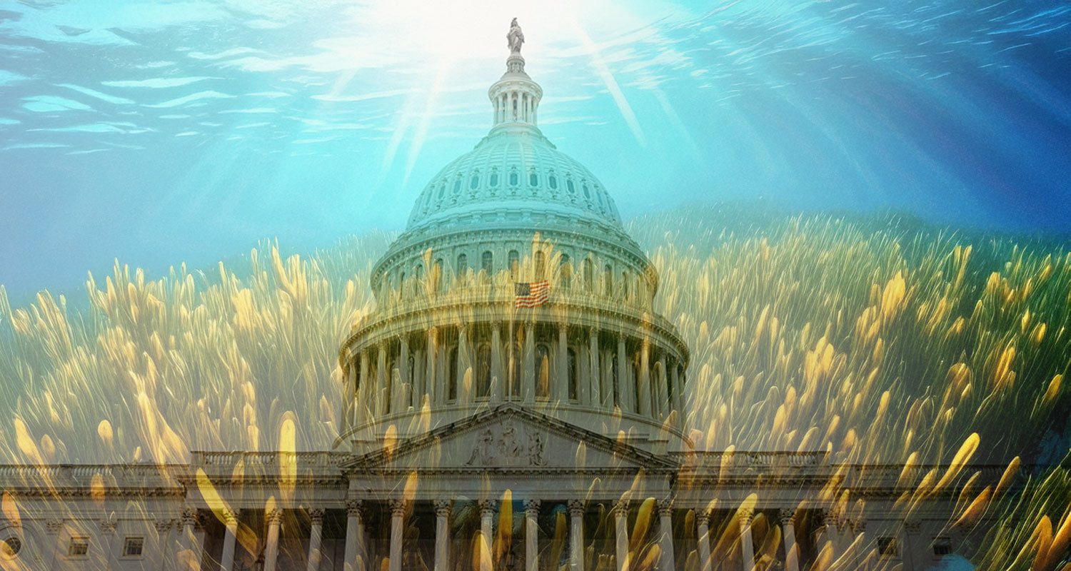 Speak up to Congress about climate legislation